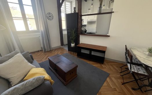 Superbe T2 rénové avec charme de l&rsquo;ancien   Pau