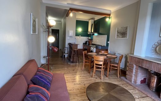 CHARMANT T2 MEUBLÉ CENTRE VILLE