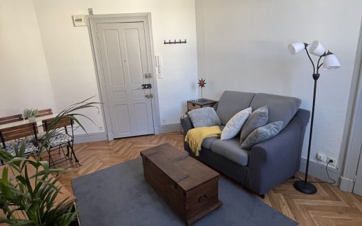 Superbe T2 rénové avec charme de l&rsquo;ancien   Pau