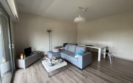 Appartement T2 plein Sud avec balcon et vue Pyrénées