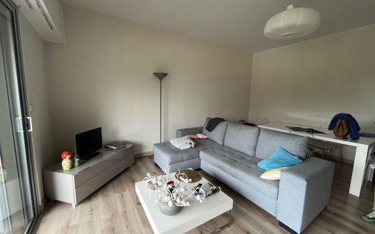 Appartement T2 plein Sud avec balcon et vue Pyrénées