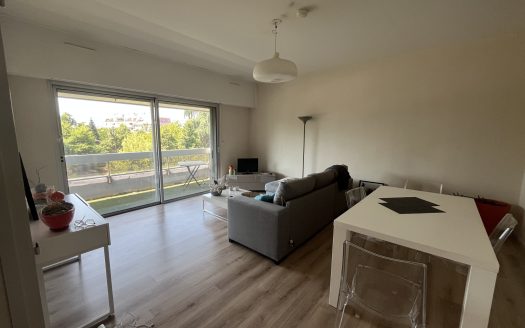Appartement T2 plein Sud avec balcon et vue Pyrénées