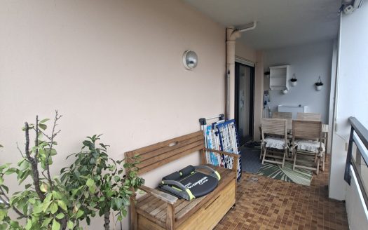 Pau centre, Grand T3 Bis entièrement rénové, avec terrasse V