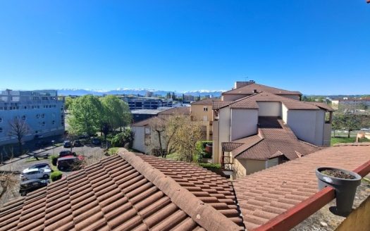 PAU Quartier Université / Leclerc T2 Bis de 50m2, avec parki