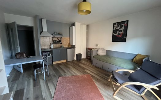 Studio meublé 27 m2 avec balcon   Pau, rue Montpensier