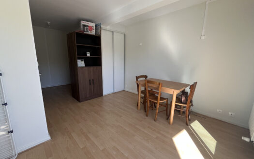 À LOUER   STUDIO MEUBLÉ AVEC BALCON   28,19 M2   CENTRE-VILL